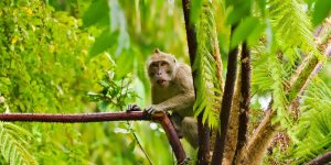 해외여행 식비 절약 루틴 (로컬 식당·마트·조식 팁)