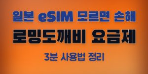 로밍도깨비 일본
