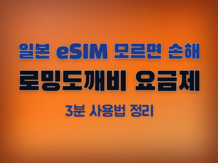로밍도깨비 일본