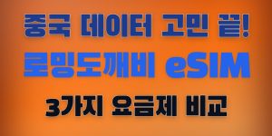 로밍도깨비 중국