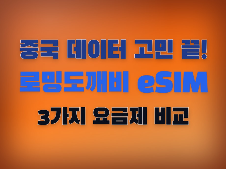로밍도깨비 중국