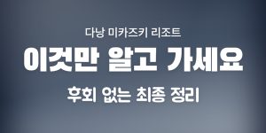 다낭 미카즈키