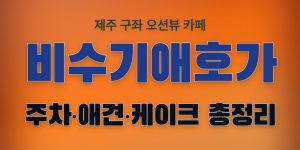 비수기애호가